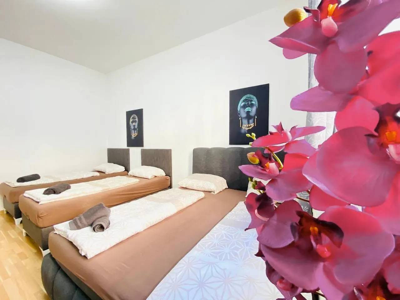 Family Apartments Near Schoenbrunn Palace Hl Vienna