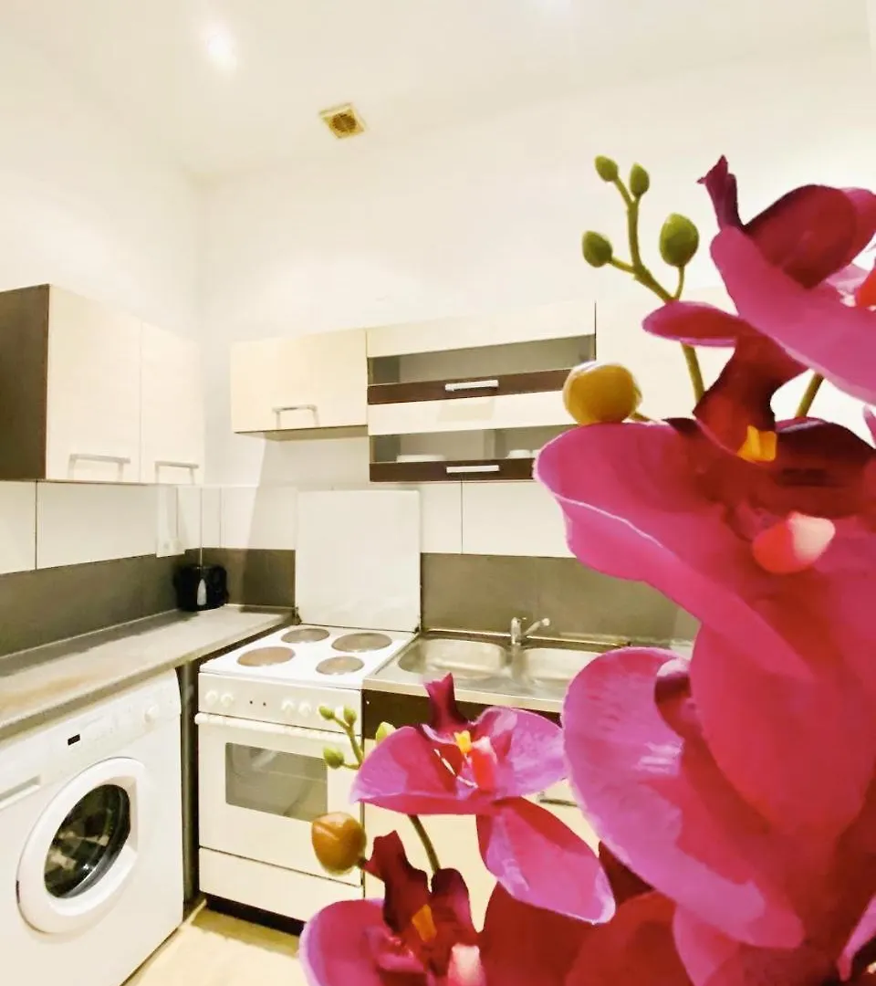 Family Apartments Near Schoenbrunn Palace Hl Vienna 0*,