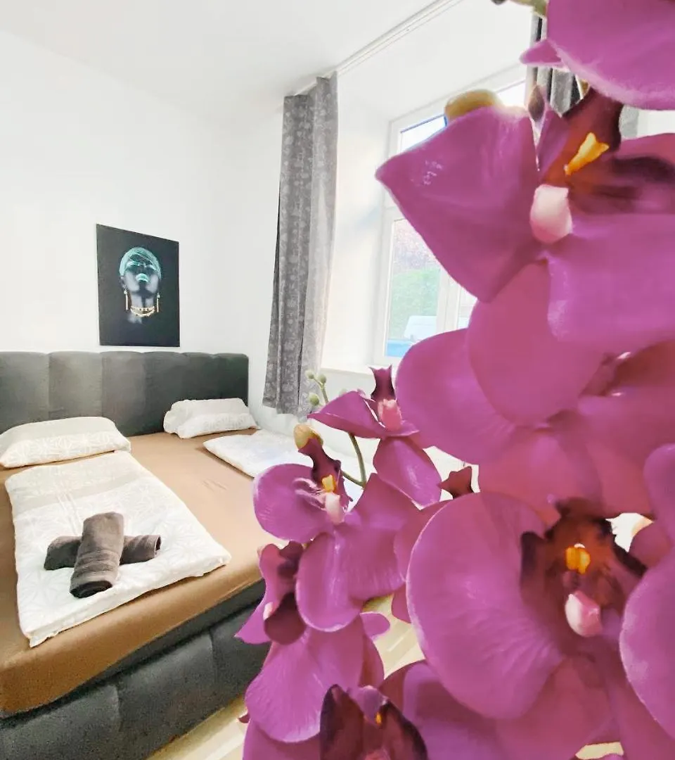 Family Apartments Near Schoenbrunn Palace Hl Vienna
